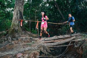 BIB: 
                            <button type="button" onclick="openModal(27312739)" class="btn btn-primary btn-sm float-right btn-popup" data-toggle="modal" data-target=".modal-high-quality">
                        <i class="fas fa-shopping-cart"></i> Add to Cart
                    </button>
                                            <button type="button" onclick="isThisMe(27312739, true)" class="btn btn-success btn-sm float-right btn-popup btn-isme hidden" data-toggle="tooltip" data-placement="bottom" title="นี่คือรูปของคุณใช่ไหม คลิกที่นี่เพื่อเอาเข้าอัลบั้ม">
                        <i class="fas fa-plus"></i> Add to album
                    </button>
                    <button type="button" onclick="isThisMe(27312739, false)" class="btn btn-warning btn-sm float-right btn-popup btn-isnotme hidden">
                        <i class="fas fa-ban"></i> Remove from album
                    </button>